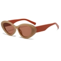 Occhiali da sole cat-eye retrò con montatura kaki e stanghette arancioni in stile vintage - Montatura Tè Arancione Lenti Arancioni