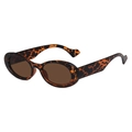 Retro oval sunglasses with leopard print frame and translucent brown lenses - Leopard Frame / Tea Lens