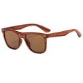 Classic tortoise shell square frame sunglasses with retro brown lenses for outdoor driving - Tea Frame Tea Lens