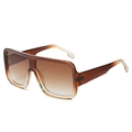 Square oversized sunglasses with brown gradient frames and lenses for outdoor wear - Tea Frame Tea Lens