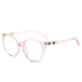 Retro round sunglasses with transparent pink frame and snakeskin pattern metal detail - Pink Frame (Clear Lens)