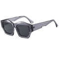 Gafas de sol poligonales con montura gris transparente y lentes gris oscuro - Montura Gris / Lentes Gris Negro