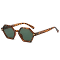 Lunettes de soleil polygonales rétro avec monture léopard et verres foncés sur blanc - Monture Léopard Verres Verts