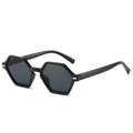Lunettes de soleil polygonales rétro avec monture noire brillante et rivets dorés - Monture Noire Verres Noir Gris