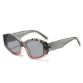 Modern irregular geometric cat-eye sunglasses with translucent dark grey frames - Gray Pink Frame Gray Lens