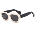 Lunettes de soleil polygonales crème avec branches noires et verres foncés - Monture Beige Verres Gris Noir