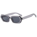 Fashionable hexagonal translucent gray sunglasses with dark lenses and metal accents - Transparent Gray