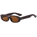 Retro oval sunglasses in dark brown with brown lenses and silver star accents on the frame - Coffee Frame Tea Lens