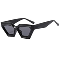 Retro cat-eye geometric sunglasses with black bold frames and dark gray sun lenses - Black Frame Black Grey Lens