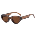 Retro Katzenaugen Sonnenbrille in Transparentbraun mit blauem Rand und dunklen Gläsern - Tee Rahmen Tee Gläser