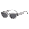Schicke Cat-Eye Hip-Hop Sonnenbrille mit transparentem grauem Rahmen und weißen Akzenten - Grauer Rahmen / Schwarzgraue Gläser