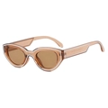 Transparente braune Cat-Eye-Sonnenbrille mit stilvollen weißen Doppelstreifen-Akzenten - Transparenter Tee-Rahmen Tee-Gläser