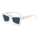 Retro cat-eye sunglasses featuring a bold white frame and elegant gold metal accents - White Frame Dark Grey Lens