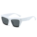 Chunky white square cat-eye sunglasses with dark grey lenses and thick plastic frame - White Frame Dark Grey Lens