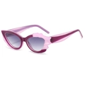 Occhiali da sole cat-eye con lenti sfumate viola e montatura irregolare ad ala - Montatura Viola Lenti Grigie