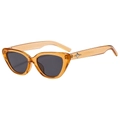 Occhiali da sole cat-eye vintage con montatura ambra e dettagli a stella in metallo argento - Montatura Tè Trasparente Lente Grigia