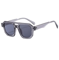 Modische Retro-Pilotenbrille mit Doppelsteg und grauem transparentem Rahmen - Jelly Grau Rahmen Graue Linsen