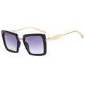 Fashionable square frame sunglasses with gold metal temples and purple gradient lenses - Black Frame Double Gray Lens