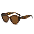 Occhiali da sole cat-eye Y2K alla moda con montatura tartarugata e dettagli con borchie - Montatura Leopardata / Lenti Tè