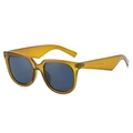 Lunettes de soleil rétro avec monture ambre translucide et verres bleu foncé au design carré - Monture verte translucide Verres gris
