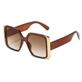 Modieuze vierkante oversized zonnebril met bruin transparant montuur en verloopglazen - Thee Frame Thee Lenzen