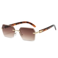 Frameless geometric sunglasses with brown gradient lenses and tortoise shell temples - Leopard Print Temple Double Tea Lens