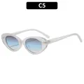 Cat eye sunglasses with transparent white frames, blue gradient lenses and gold rivets - C5-Transparent White Frame Blue Tea Lens