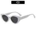 Retro cat-eye Y2K sunglasses with thick white frames and dark lenses, C2 variant style - White Frame Gray Lens