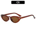 Oval retro cat eye sunglasses in transparent brown frame with dark brown lenses - Tea Frame Tea Lens