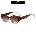Y2K vintage cat-eye sunglasses with thick dark brown to clear gradient frames - Gradient Brown Frame Brown Lens