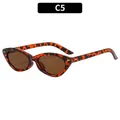 Lunettes de soleil œil de chat rétro polygone avec monture C5 écaille et verres bruns - Monture Léopard / Verres Thé