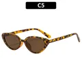 Y2K vintage cat-eye oval sunglasses in C5 tortoiseshell pattern with brown lenses - Tortoise Frame Tea Lens (C5)