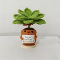 Handmade crochet succulent doll with smiley face and thank you card on wood base - Grapefruit Potted Plant