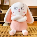 Pink and white plush rabbit toy with angry expression and crossed arms in home setting - Angry Rabbit 33cm / Price And Color Are Random For Single Pieces Around 40cm In Length.