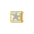 Detail of gold titanium steel Italian charm link featuring a textured starfish design - Decorative Charm Link (L50)