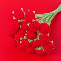 Handmade crochet red rose bouquet with green leaves and knitted texture detail - Red Bubble Rose Single Stem (flower Head 4.5cm)