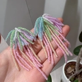 2603132 Colorful Beaded Firework Tassel Earrings