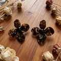 2603167a Dark Brown Flower