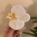 Elegant white orchid hair clip with yellow center and pearl accent for women - White