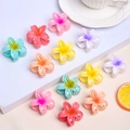12-piece set of colorful plumeria flower hair claws with a vibrant gradient finish - ZH1110 Combination Set