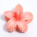 Pink gradient frangipani flower hair claw clip with glossy finish on white background - 7. Bauhinia Flowers Gradually Turn Red