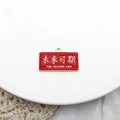 Red enamel rectangular charm with Chinese characters THE FUTURE CAN blessing message - Rectangle The Future is Promising