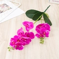 Kunstmatige magenta phalaenopsis orchidee met groene bladeren voor huisdecoratie - Kleine Orchidee met 2 Takken / Rozerood