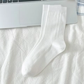 Classic white ribbed crew socks with breathable mesh for summer and Japanese ballet style - One Size / Bleached White