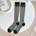Japanese style grey sheer knee-high socks with black stripes and ribbed cuffs for women - Black Double Stripe