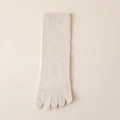 Classic cream beige mid-calf five-toe socks featuring a soft ribbed knit cotton design - One Size / White