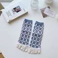 Blaue und weiße karierte Zehensocken aus Baumwolle mit feinem Vintage-Gittermuster - Blau Kariert