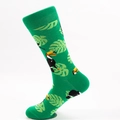 Green cotton crew socks featuring tropical toucan and monstera leaf patterns - One Size (EU 41-46) / Green Base Toucan