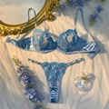 Détail de lingerie en dentelle bleu clair brodée de fleurs sur fond de soie blanche - S / Bleu clair