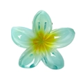 Lake blue frangipani flower hair claw clip with yellow gradient center and resin finish - 4cm Bauhinia Blue